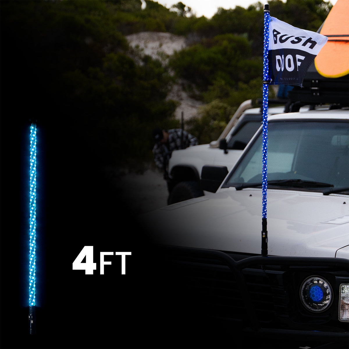4ft LED Whip Lights
