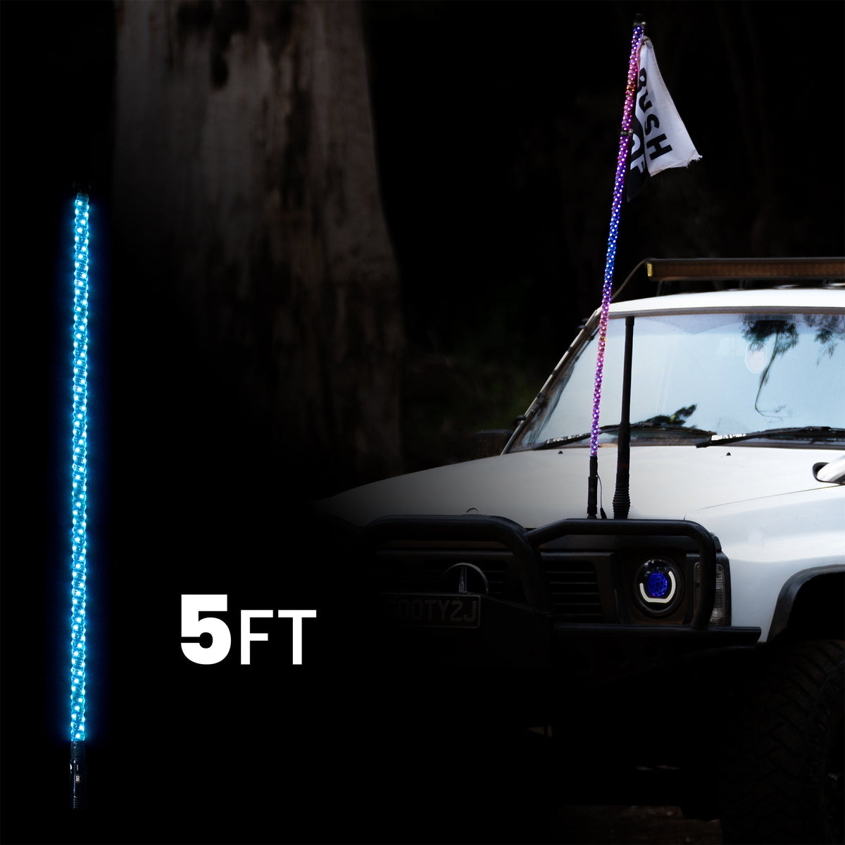 5ft LED Whip Lights