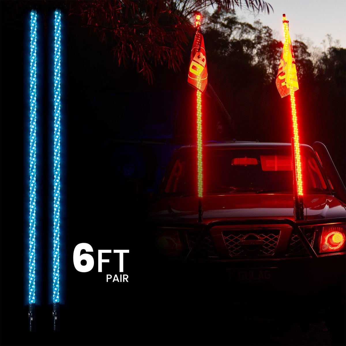 6ft LED Whip Lights