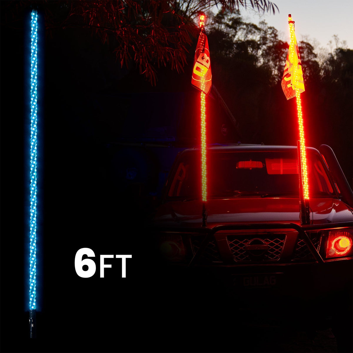 6ft LED Whip Lights