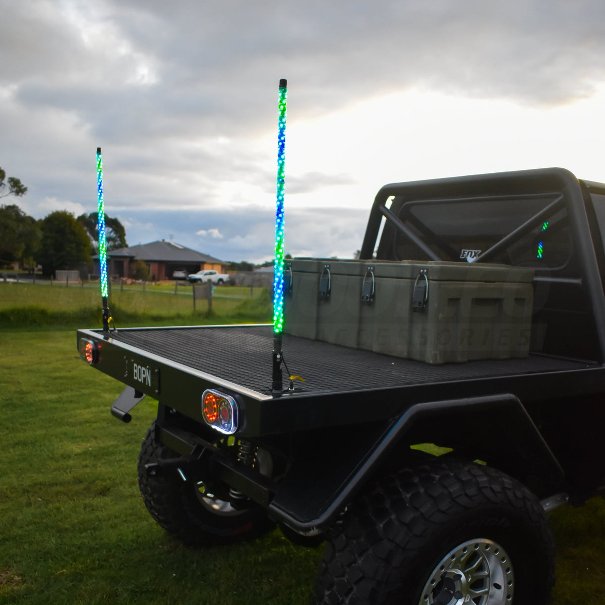 3ft LED Whip Lights