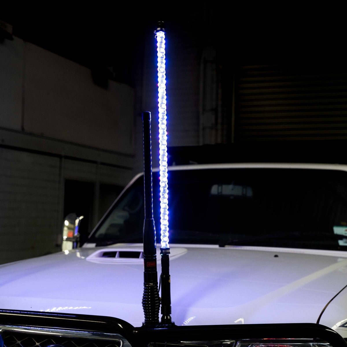 3ft LED Whip Lights