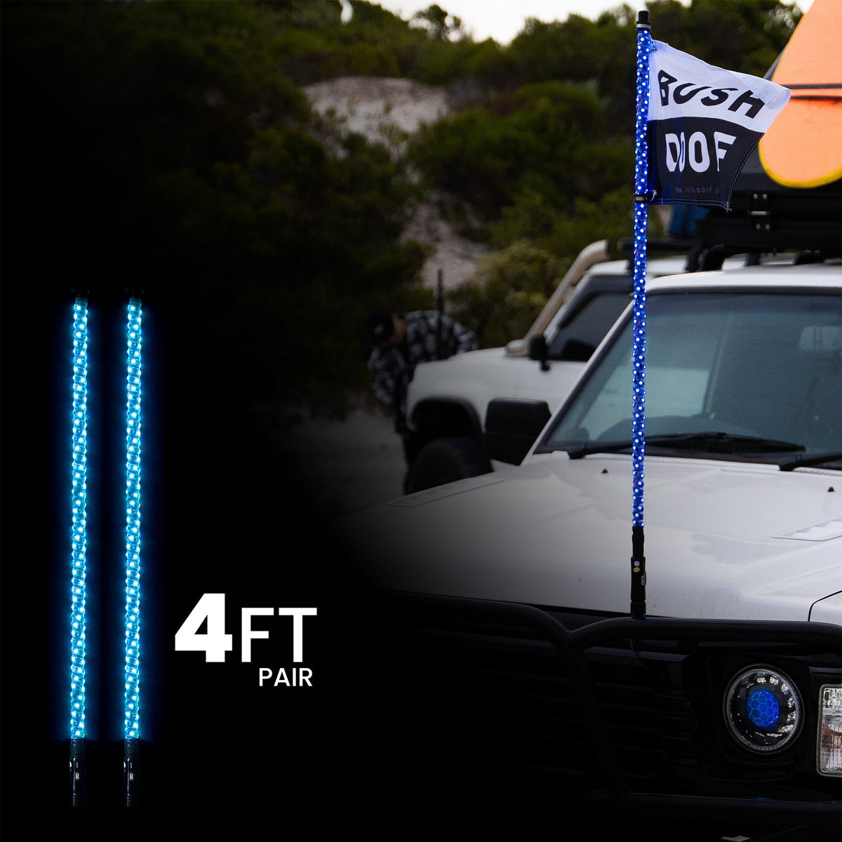 4ft LED Whip Lights