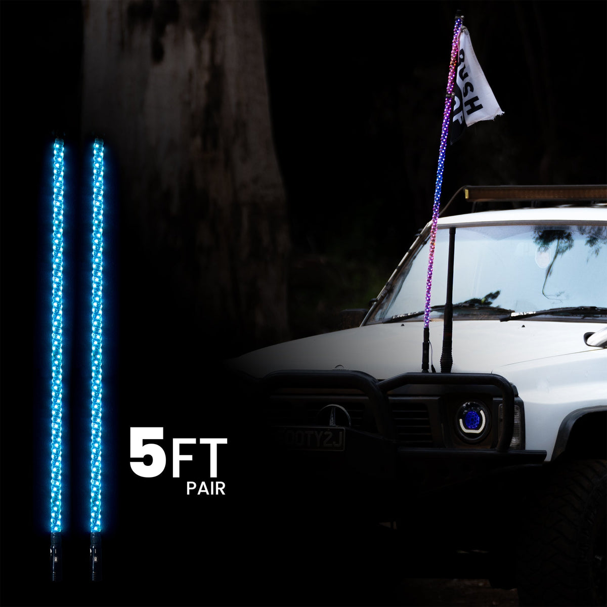 5ft LED Whip Lights