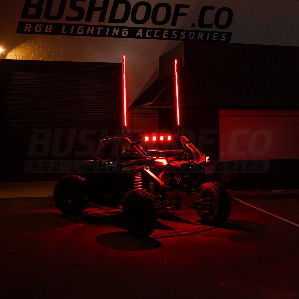 6ft LED Whip Lights