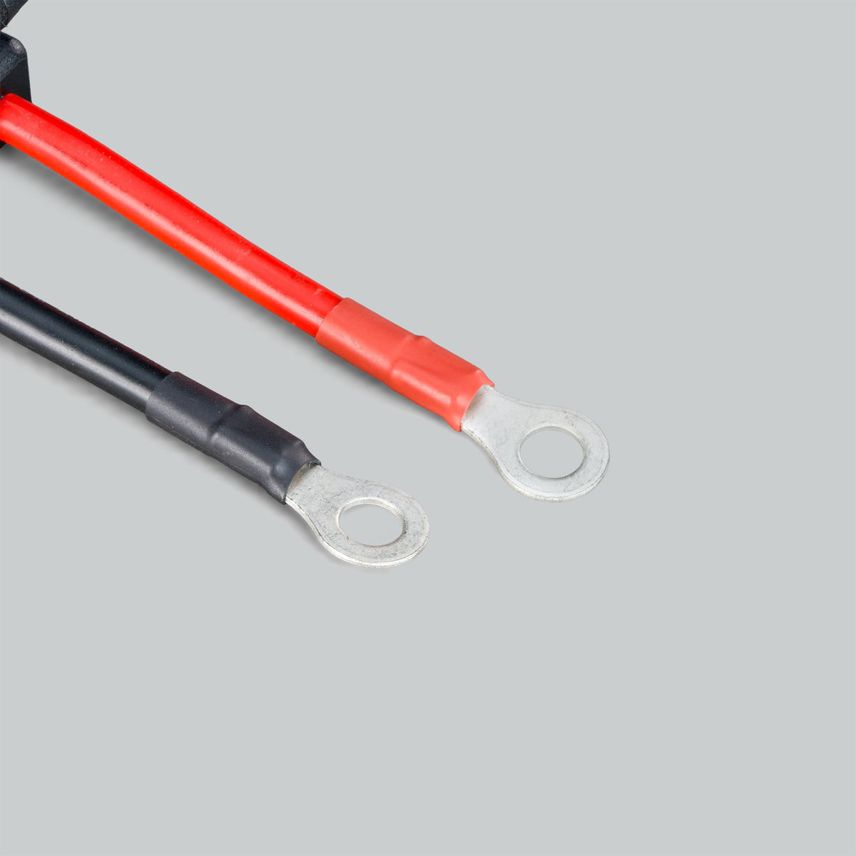 50A Anderson to Ring Terminal with Fuse