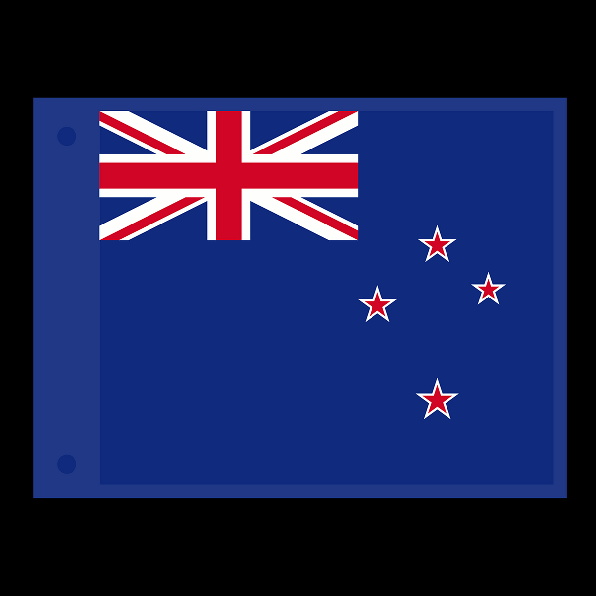 Whip Flags